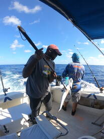 Cancún Report Photo 2