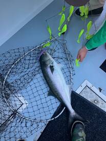 Point Pleasant Report Photo 2