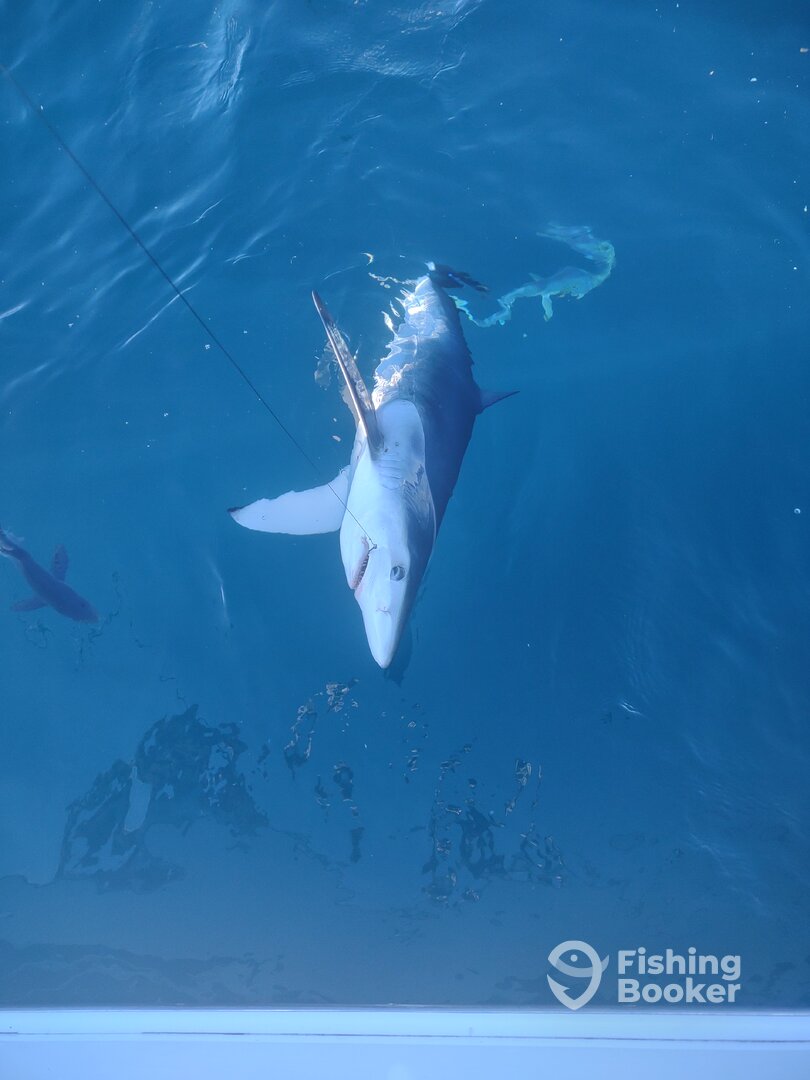 San Diego Report Photo 0