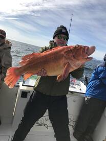 Kodiak Island Report Photo 2