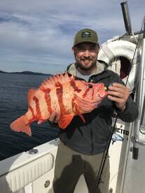 Kodiak Island Report Photo 4