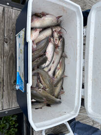 Montgomery Report Photo 1