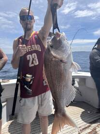 Monsters from last trip