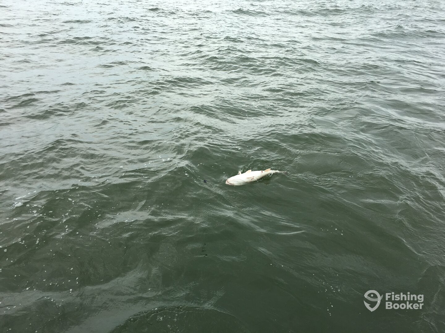 Freeport Report Photo 0