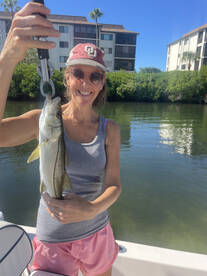 Sarasota Report Photo 2