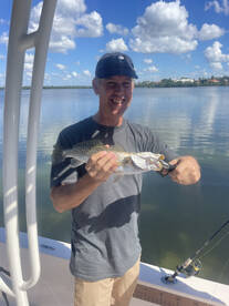 Sarasota Report Photo 1