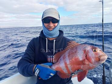 First days of dicember