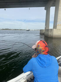 Sheepshead Were Hungry