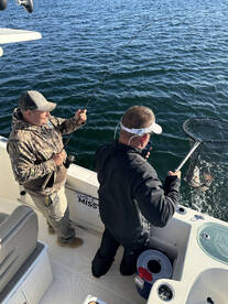 Orange Beach Report Photo 1