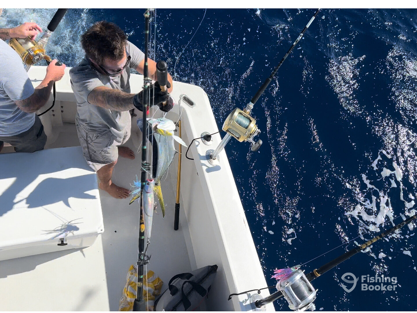 Haleiwa Report Photo 0