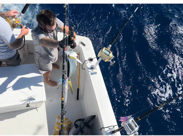 Mahi-mahi and tuna fishing 