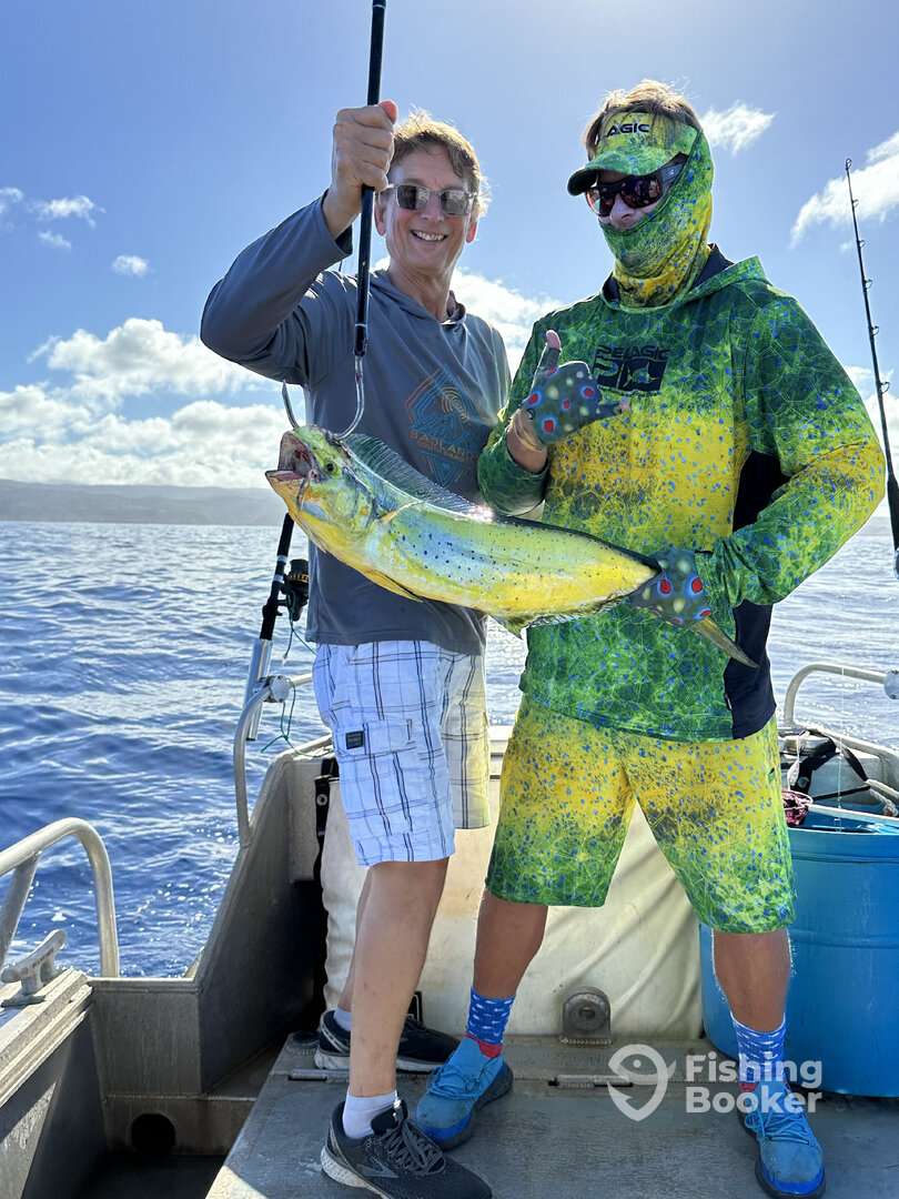 Haleiwa Report Photo 0