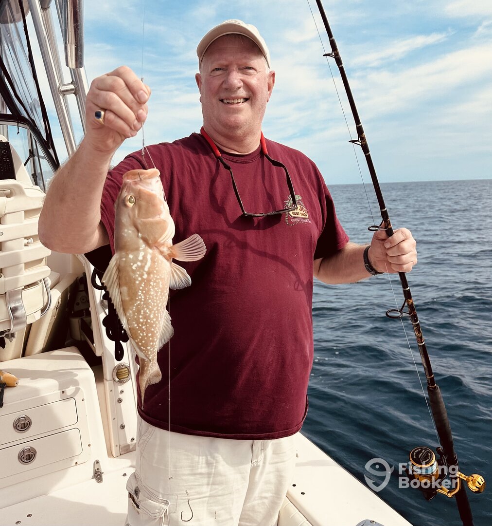 Offshore grouper and snapper fishing