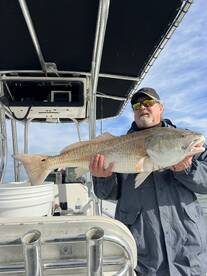 Venice Report Photo 1