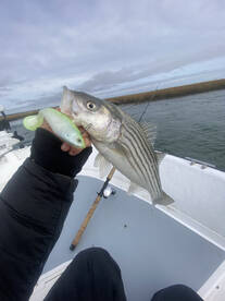 Foto Report Atlantic City 2