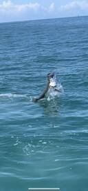 Key West Report Photo 1