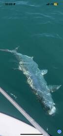 Key West Report Photo 2