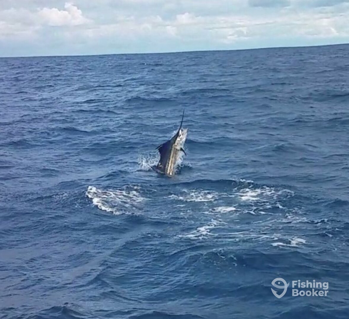 Fort Lauderdale Report Photo 0