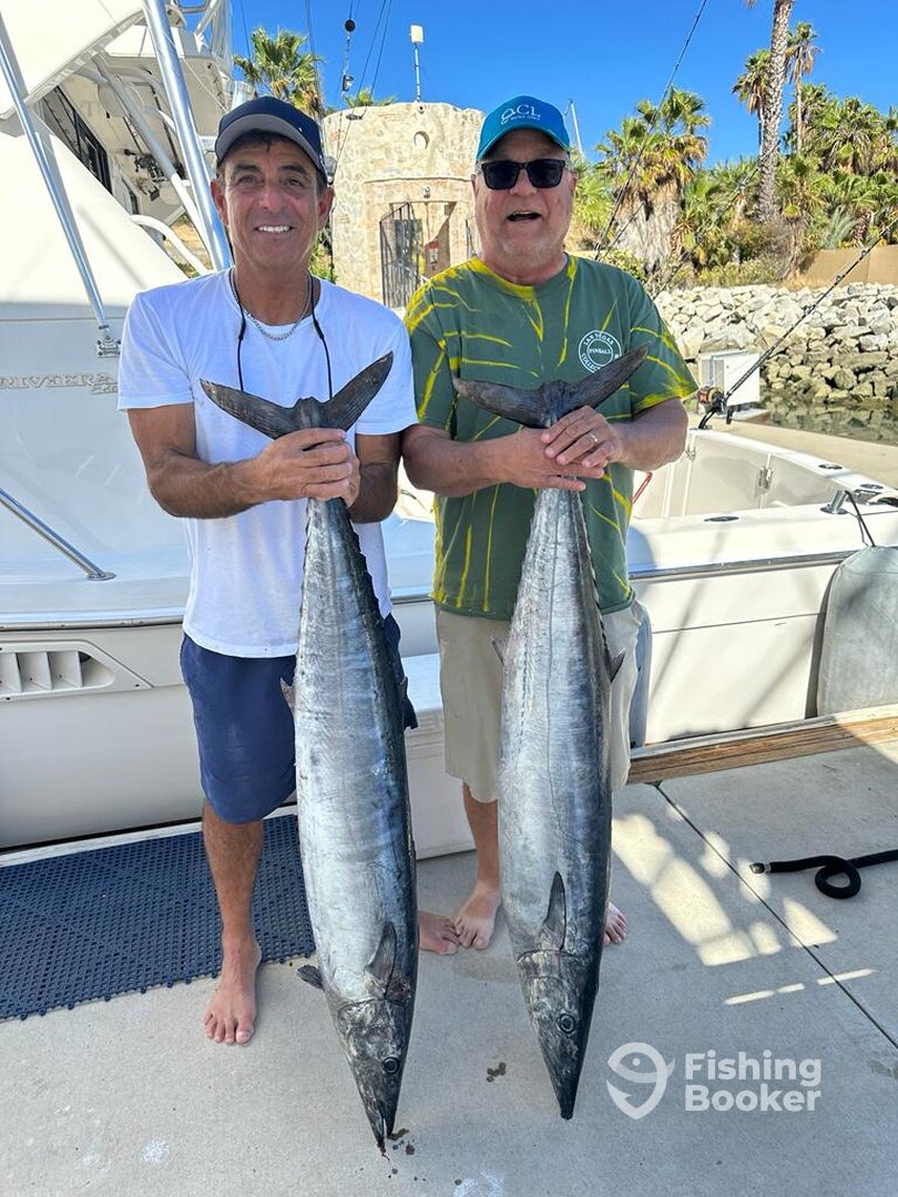 San Jose del Cabo Report Photo 0