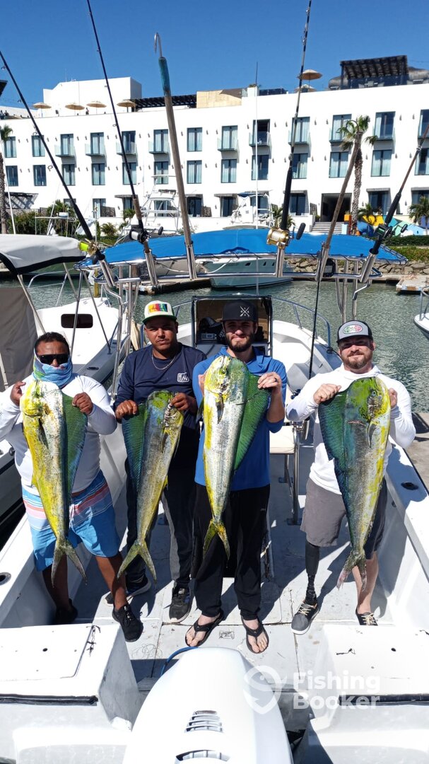 San Jose del Cabo Report Photo 0