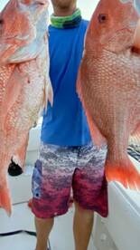 ARS - American Red Snapper Rule & Regs G