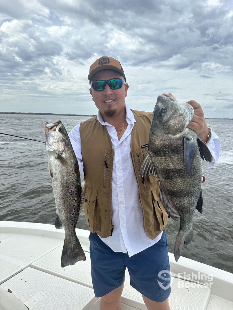 Jekyll Island Report Photo 0