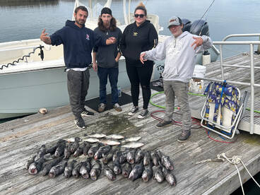 Murrells Inlet Report Photo 2