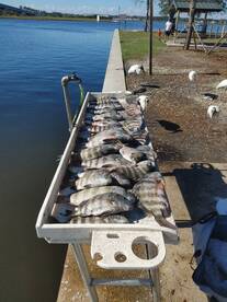 Jacksonville Beach Report Photo 2