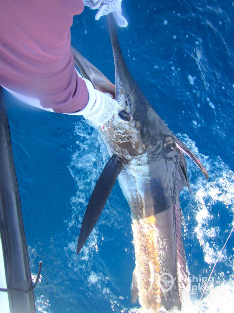 Cabo San Lucas Report Photo 0