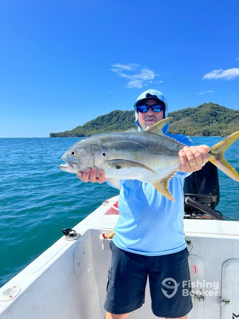 Nicoya Report Photo 0