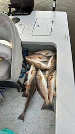 Lake Charles Report Photo 2