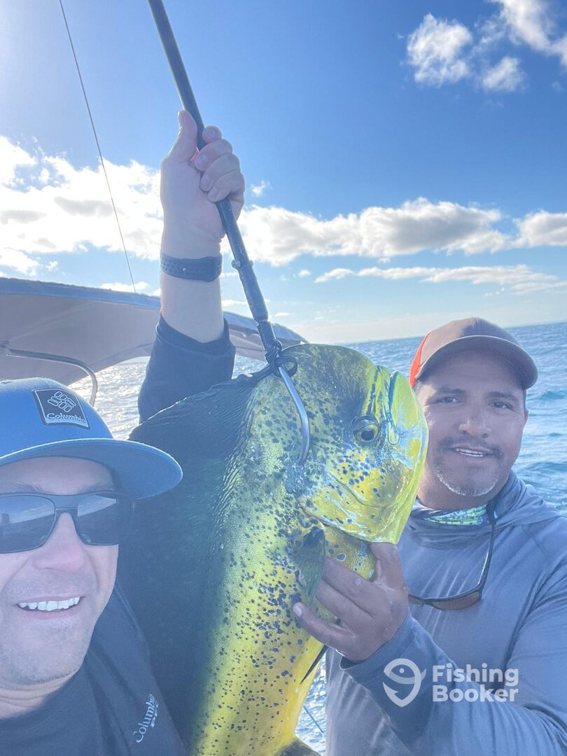 La Paz Report Photo 0