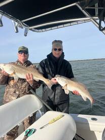 Venice Report Photo 1