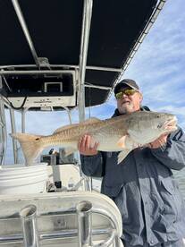 Venice Report Photo 2