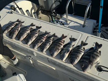 Fernandina Beach Report Photo 1