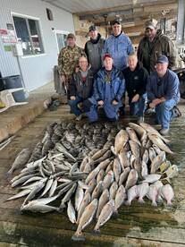 Venice Report Photo 2