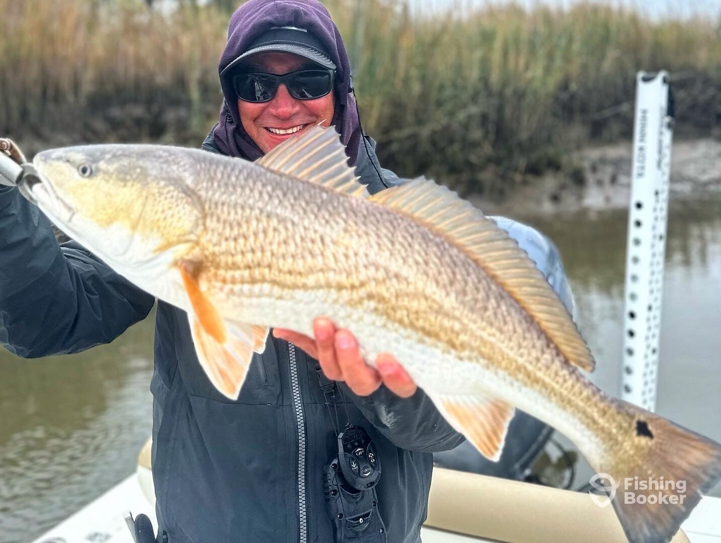 Savannah Report Photo 0