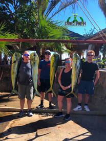 Follow the season mahis! DALIKEN sportfi