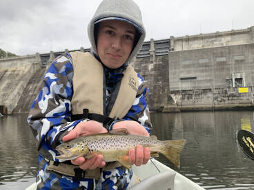 Nashville Report Photo 2