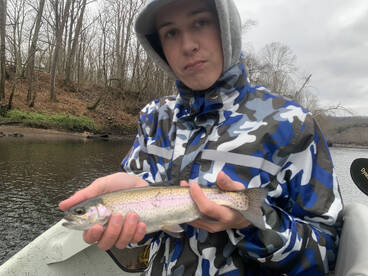 Nashville Report Photo 1