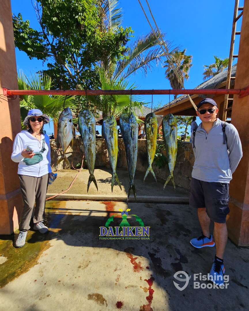 San Jose del Cabo Report Photo 0