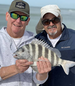 Sheepshead season is here! 