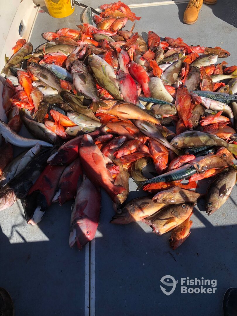 Ensenada Report Photo 0