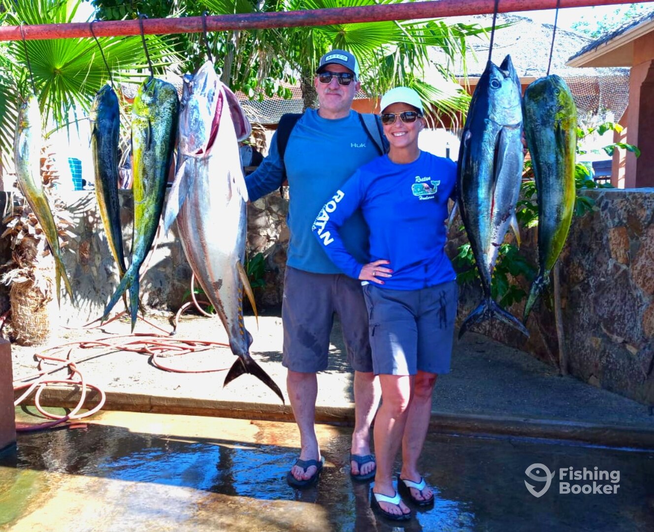 San Jose del Cabo Report Photo 0