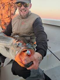 Dameron Report Photo 2