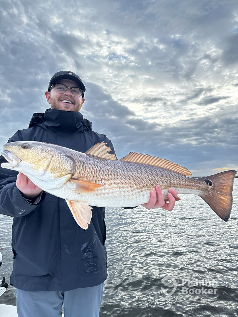 St. Bernard Report Photo 0