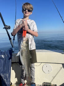 Virginia Beach Report Photo 2