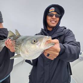 Pasadena Report Photo 2