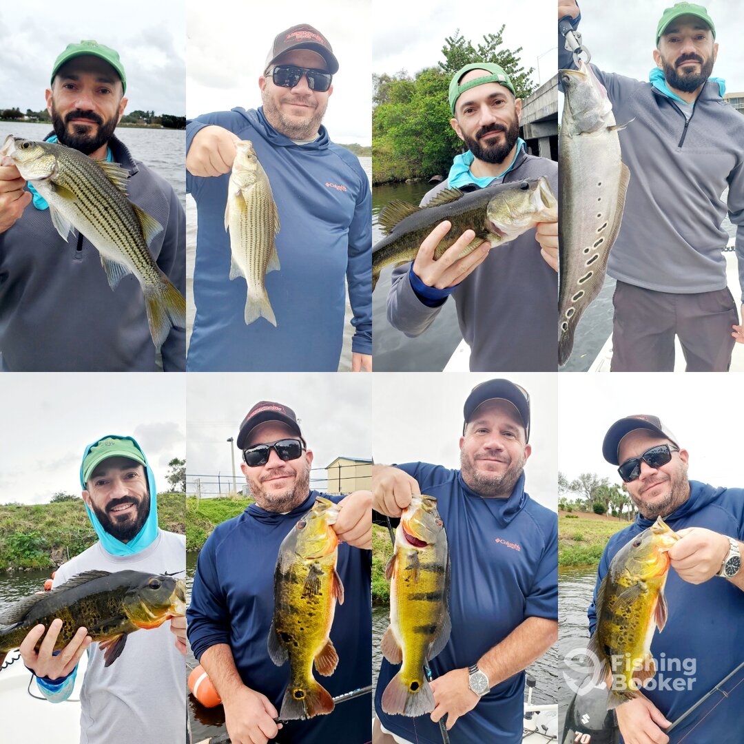 Delray Beach Report Photo 0