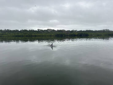 Edgewater Report Photo 2